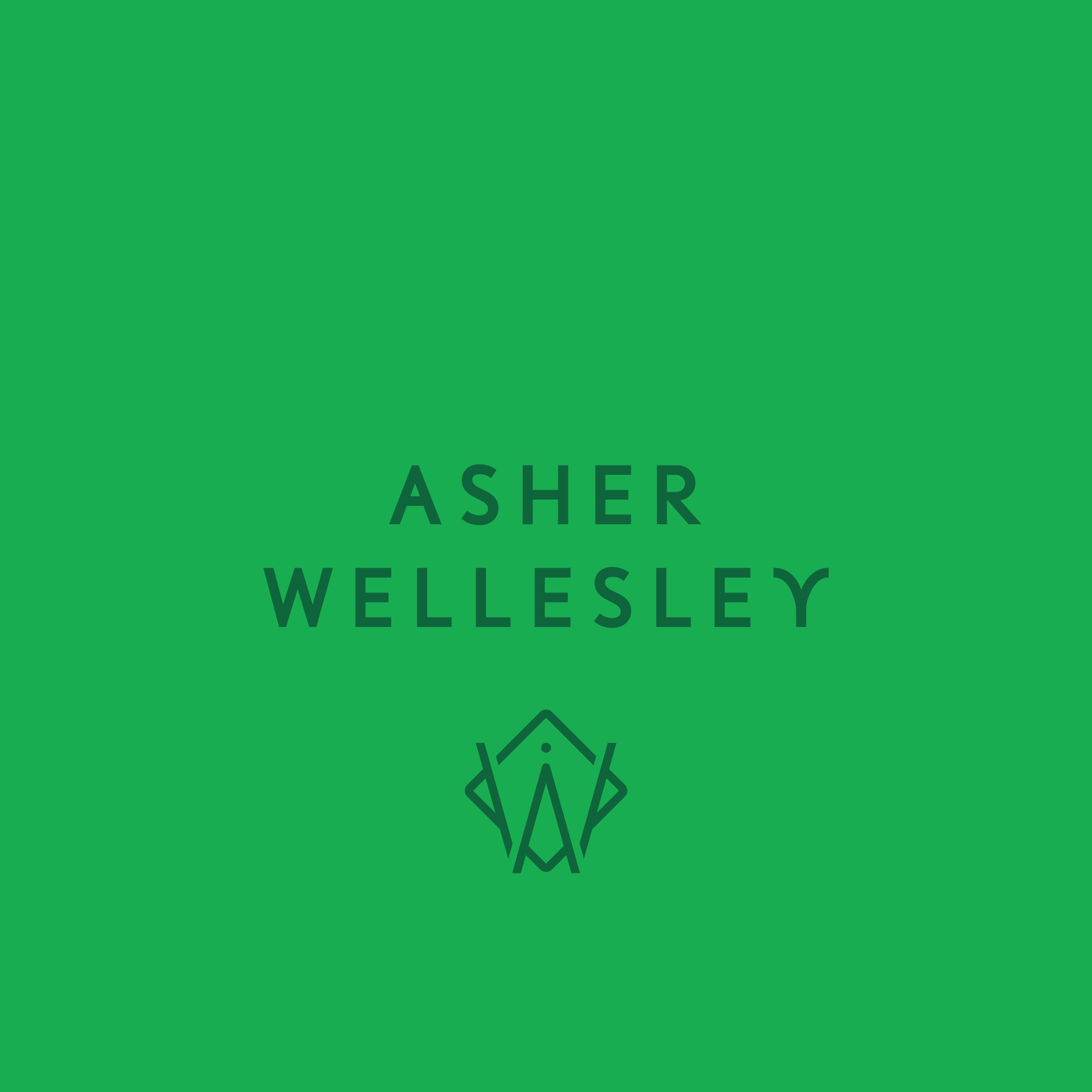 Asher Wellesley - Package 01
